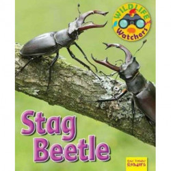 Wildlife Watchers: Stag Beetle