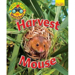 Wildlife Watchers: Harvest Mouse