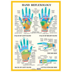 Hand Reflexology -- A2