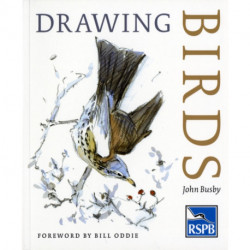 Drawing Birds