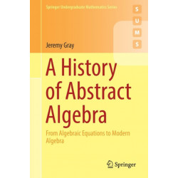 A History of Abstract Algebra: From Algebraic Equations to Modern Algebra