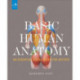 Basic Human Anatomy: An Essential Visual Guide for Artists