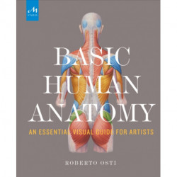 Basic Human Anatomy: An Essential Visual Guide for Artists