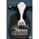 News Grazers: Media, Politics, and Trust in an Information  Age