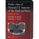 Pocket Atlas of Normal CT Anatomy of the Head and Brain