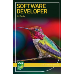 Software Developer