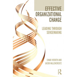 Effective Organizational Change: Leading Through Sensemaking