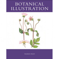 Botanical Illustration