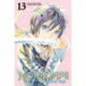 Noragami Volume 13