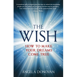 The Wish: How to make your dreams come true