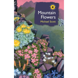 Mountain Flowers