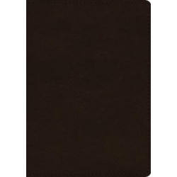 ESV Single Column Journaling Bible, Large Print