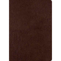 ESV Single Column Journaling Bible, Large Print