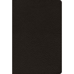 ESV Bible with Creeds and Confessions