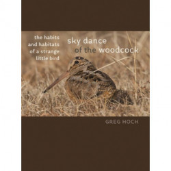 Sky Dance of the Woodcock: The Habits and Habitats of a Strange Little Bird