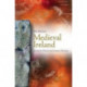 Medieval Ireland: Territorial, Political and Economic Divisions