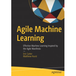 Agile Machine Learning: Effective Machine Learning Inspired by the Agile Manifesto