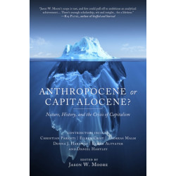 Anthropocene or Capitalocene?: Nature, History, and the Crisis of Capitalism