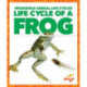 Life Cycle of a Frog