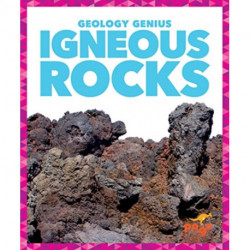 Igneous Rocks