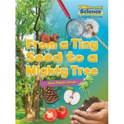 From a Tiny Seed to a Mighty Tree: How Plants Grow
