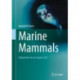 Marine Mammals: Adaptations for an Aquatic Life