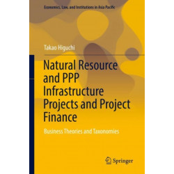 Natural Resource and PPP Infrastructure Projects and Project Finance: Business Theories and Taxonomies