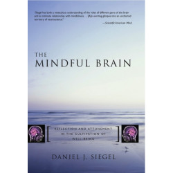 The Mindful Brain: Reflection and Attunement in the Cultivation of Well-Being