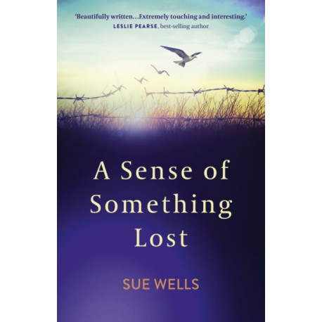 Sense of Something Lost, A: Learning to face life's challenges