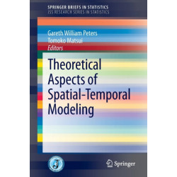 Theoretical Aspects of Spatial-Temporal Modeling