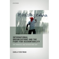International Organizations and the Fight for Accountability: The Remedies and Reparations Gap