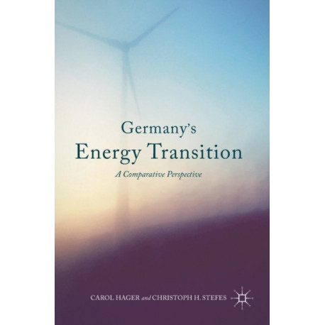 Germany's Energy Transition: A Comparative Perspective