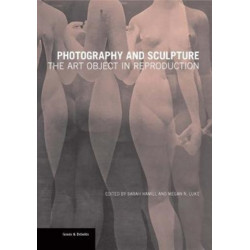 Photography and Sculpture - The Art Object in Reproduction