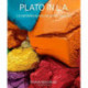 Plato in L.A. - Artists' Visions