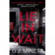 Lie in Wait: A dark and gripping crime thriller