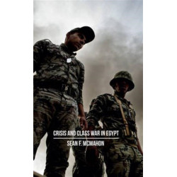 Crisis and Class War in Egypt: Social Reproduction, Factional Realignments and the Global Political Economy