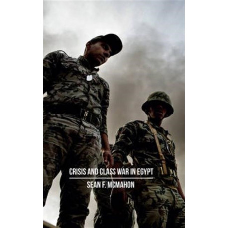 Crisis and Class War in Egypt: Social Reproduction, Factional Realignments and the Global Political Economy