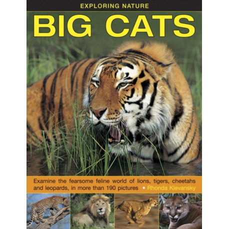 Exploring Nature: Big Cats