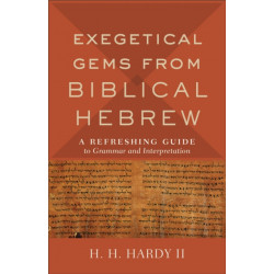 Exegetical Gems from Biblical Hebrew: A Refreshing Guide to Grammar and Interpretation