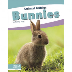 Bunnies