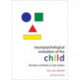 Neuropsychological Evaluation of the Child: Domains, Methods, and Case Studies