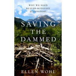 Saving the Dammed: Why We Need Beaver-Modified Ecosystems