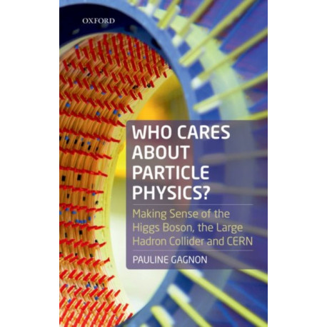 Who Cares about Particle Physics?: Making Sense of the Higgs Boson, the Large Hadron Collider and CERN