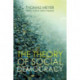 The Theory of Social Democracy