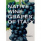 Native Wine Grapes of Italy