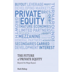 The Future of Private Equity: Beyond the Mega Buyout