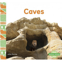 Caves