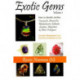 Exotic Gems: Volume 1 -- How to Identify & Buy Tanzanite, Ammolite, Rhodochrosite, Zultanite, Sunstone, Moonstone & Other Feldspars