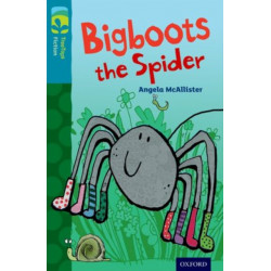 Oxford Reading Tree TreeTops Fiction: Level 9 More Pack A: Bigboots the Spider