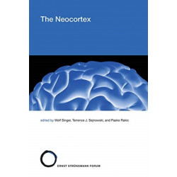 The Neocortex